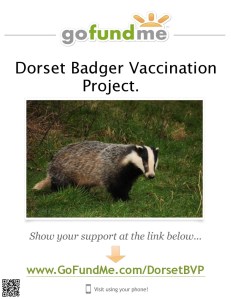 DBVP GoFundMe Poster 2